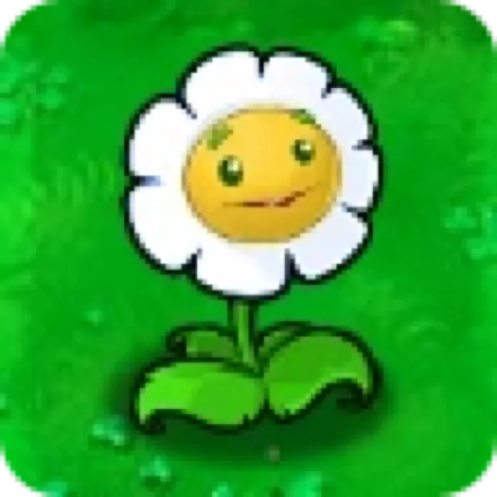 Marigold
