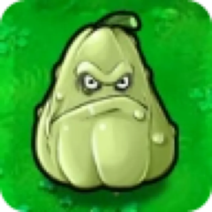 Squash