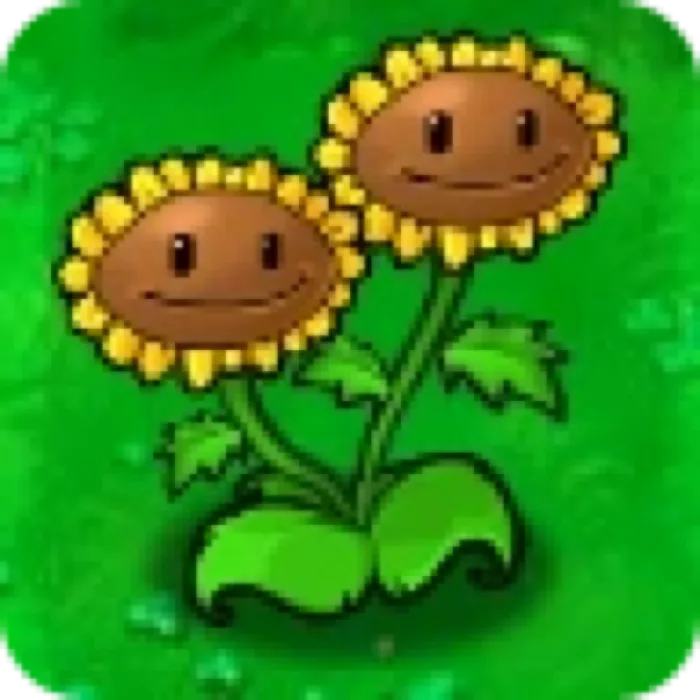 Twin Sunflower