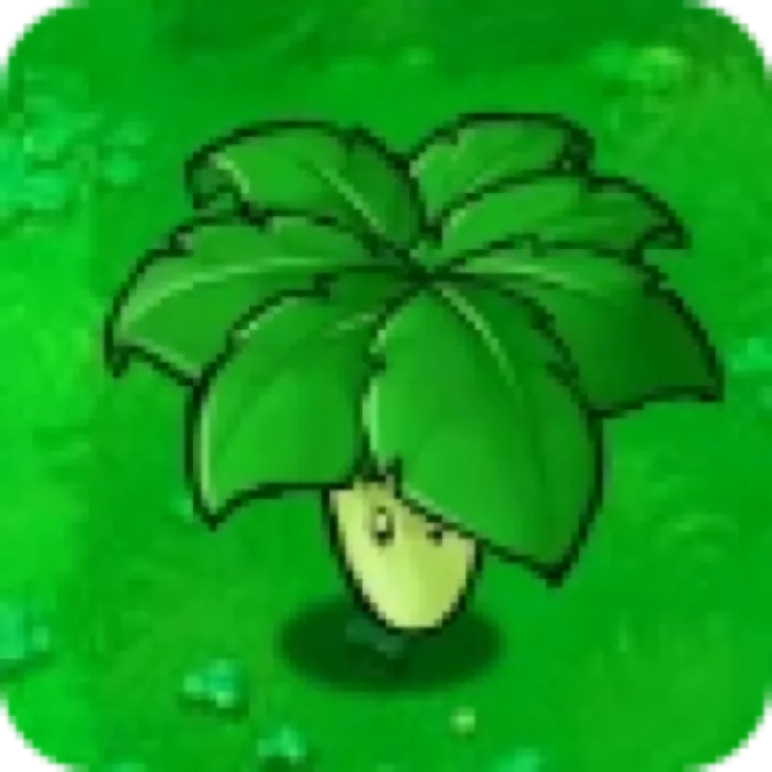 Umbrella Leaf