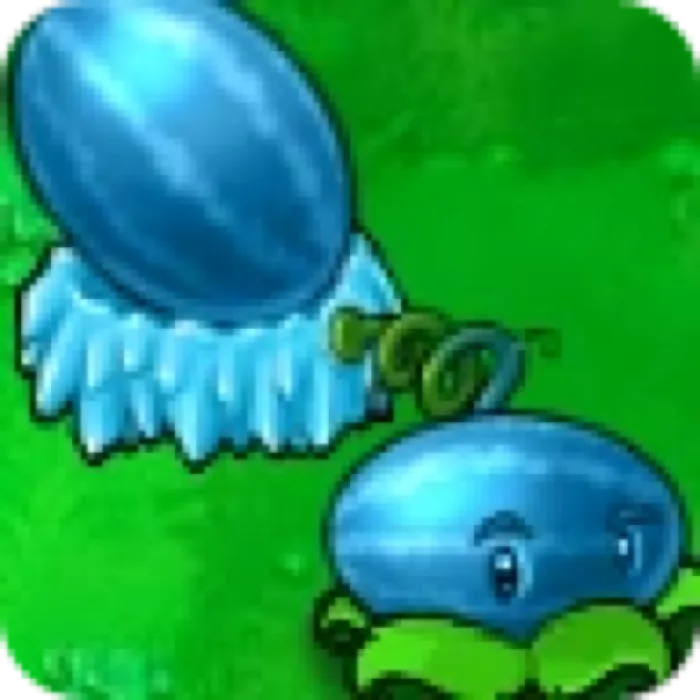 Winter Melon