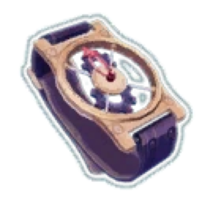 Delicate Watch