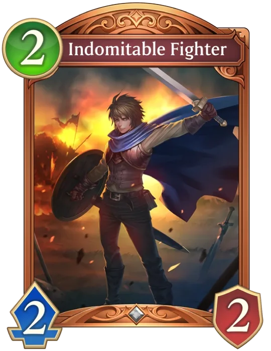 Indomitable Fighter