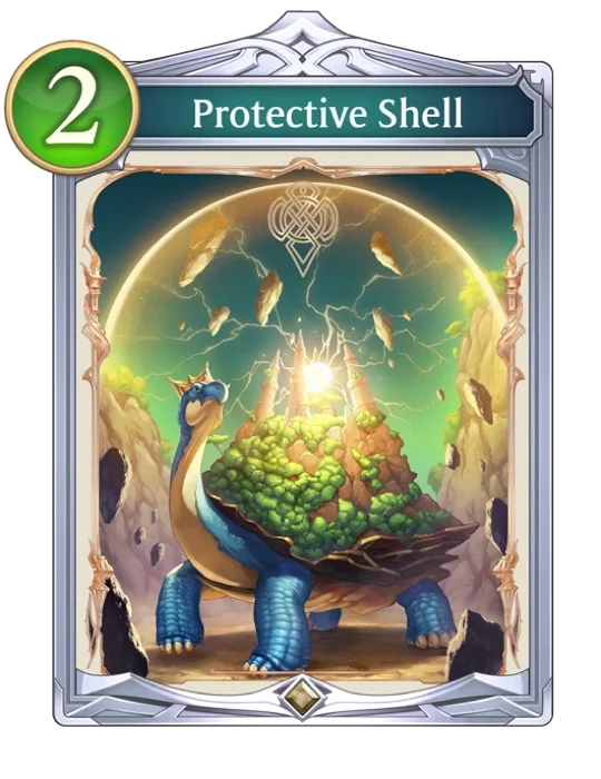 Protective Shell
