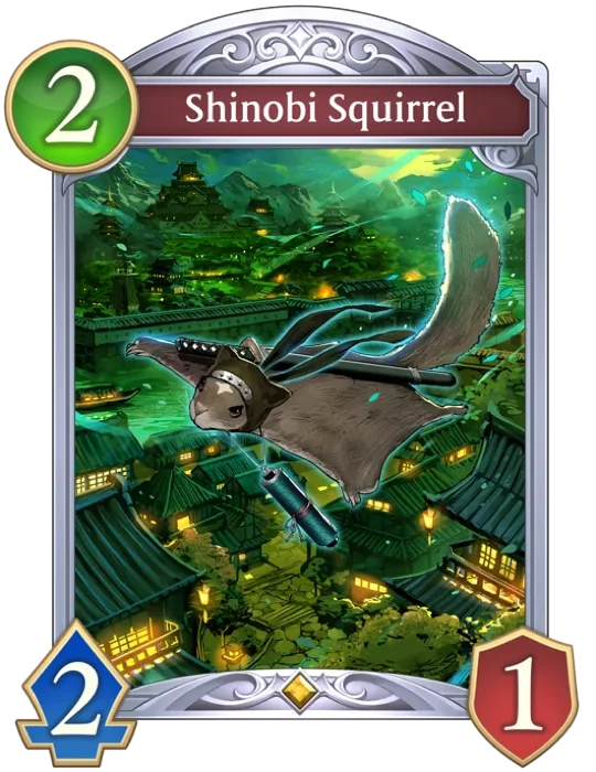 Shinobi Squirrel