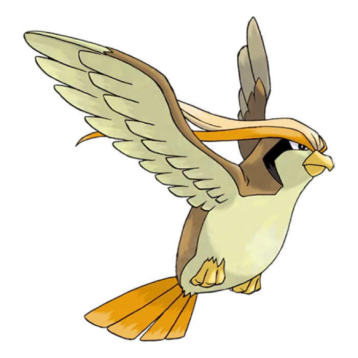 Pidgeot