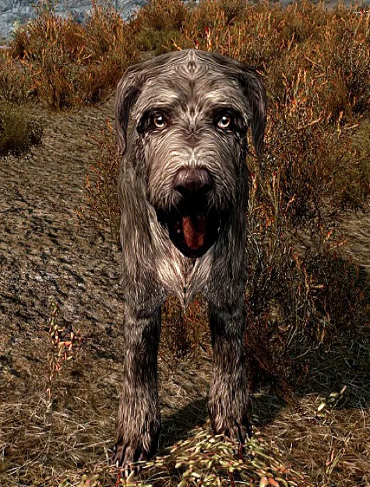 Barbas Skyrim