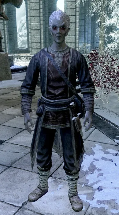 Drevis Neloren