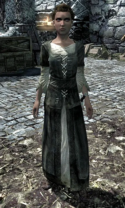 Nilsine Shatter Shield
