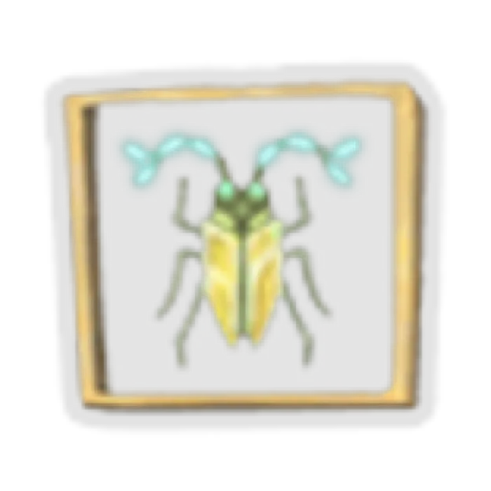 Preserved Insect