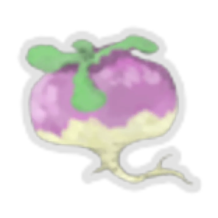 Turnip