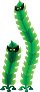 Komboos