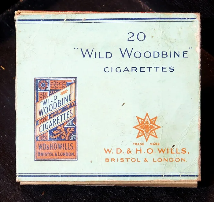 Wild Woodbine