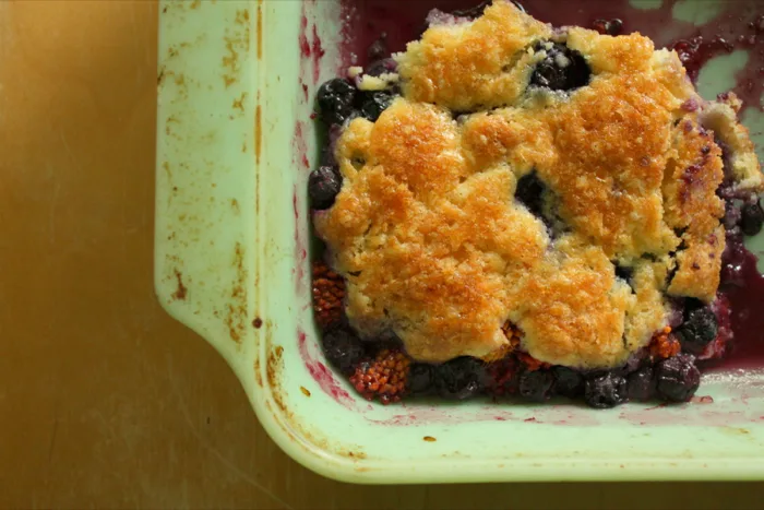 Cobbler Food