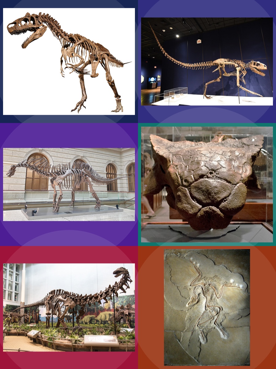 Dinossauros: Gêneros Conhecidos
