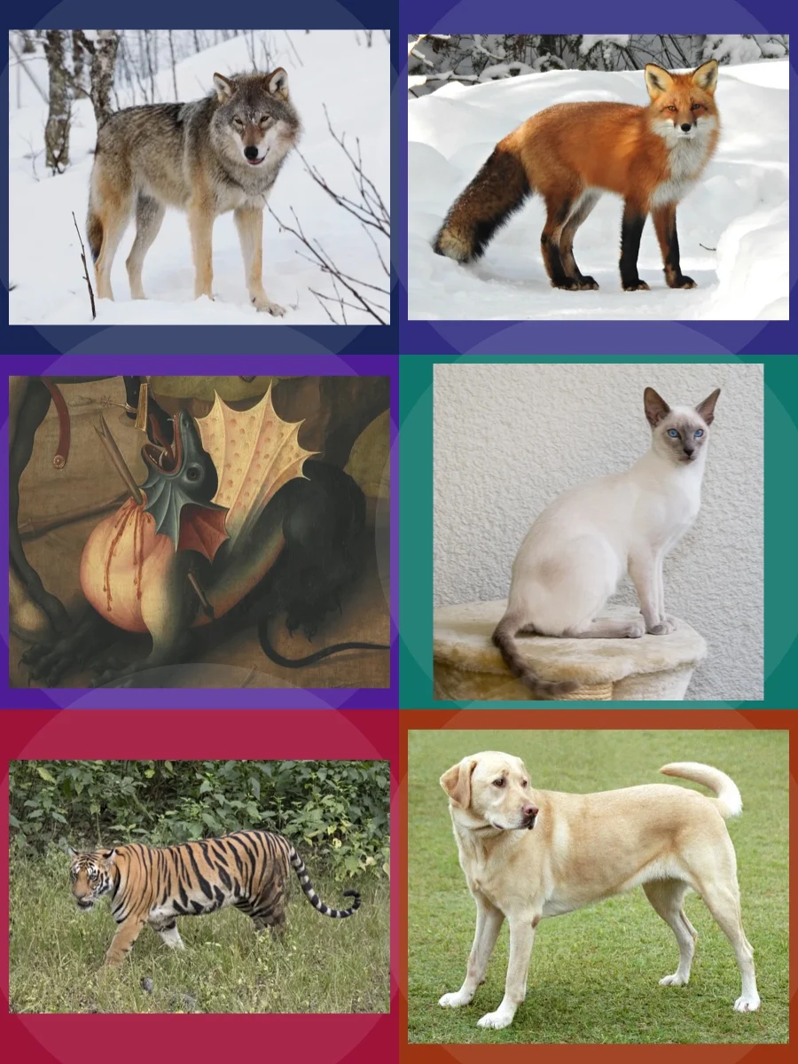 Fursona Species