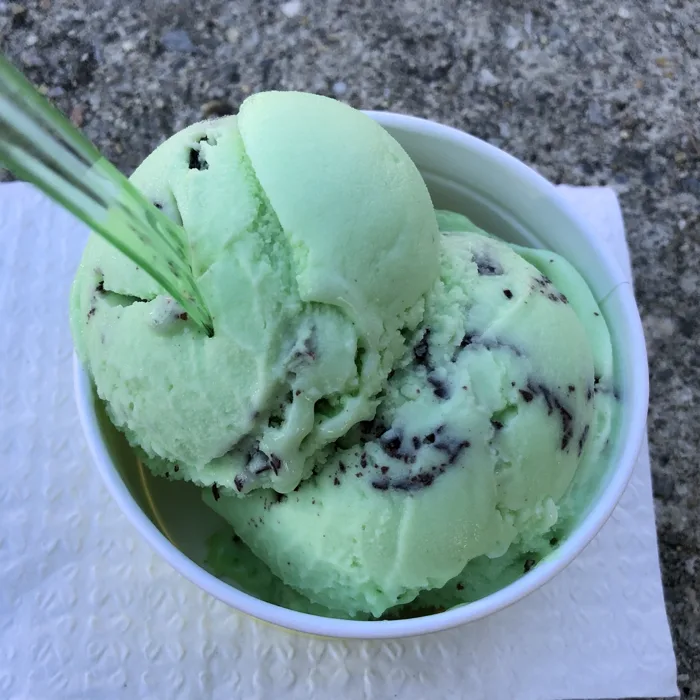 Mint Chocolate Chip