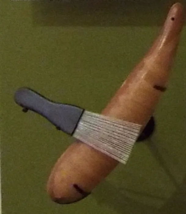 Guiro