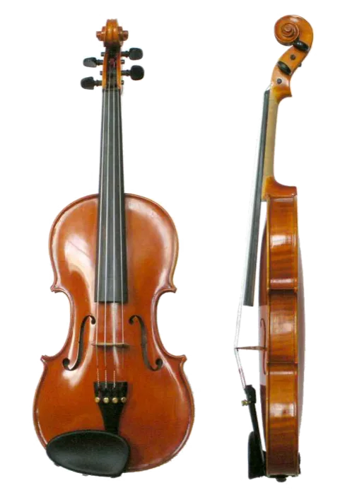 Violino
