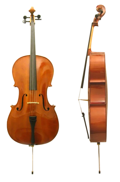 Violoncelo