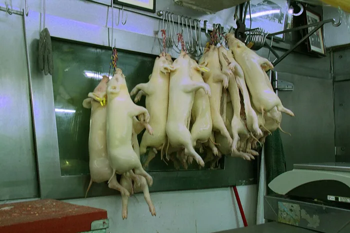 Suckling Pig