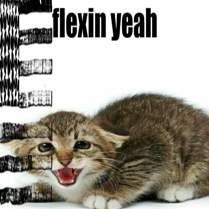 Flexin Yeah
