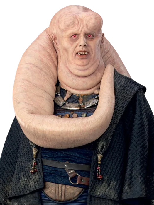 Bib Fortuna
