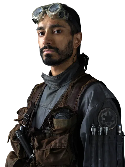 Bodhi Rook