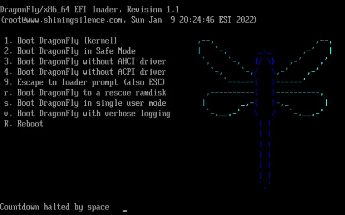 Dragonfly Bsd