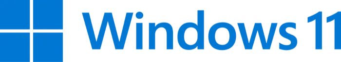 Windows 11