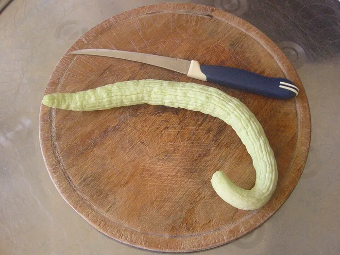 Armenian Cucumber