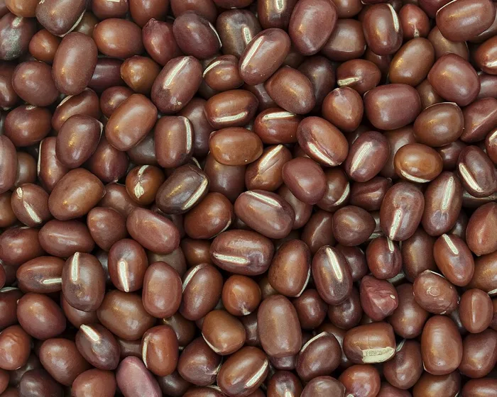 Azuki Bean