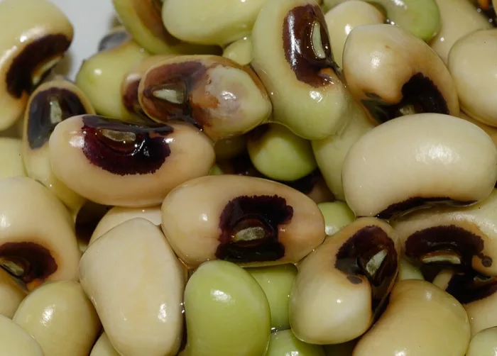 Black Eyed Pea