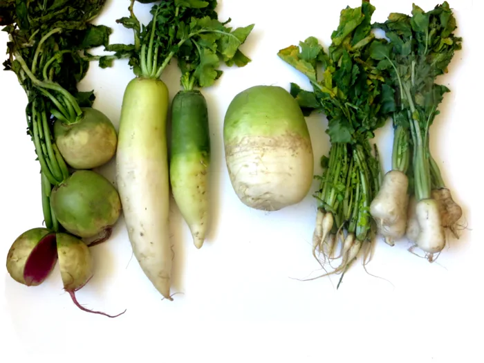 Daikon