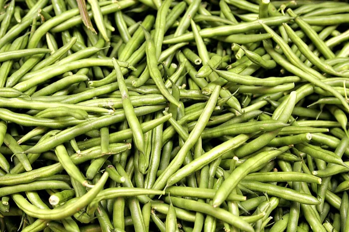 Green Bean