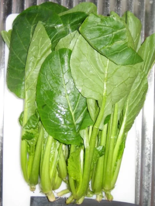 Komatsuna