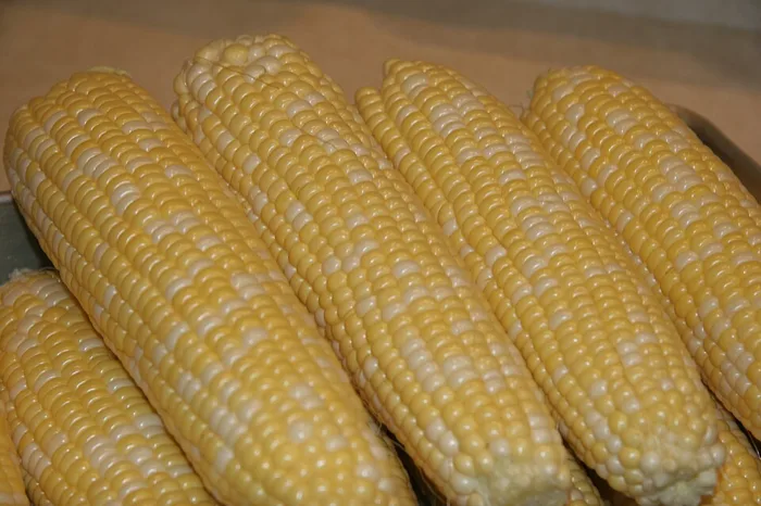 Maize