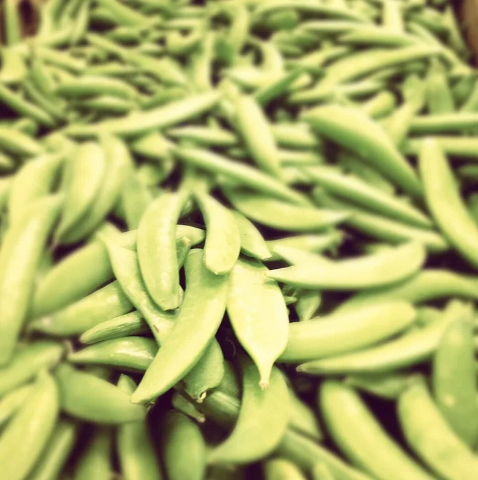 Snap Pea
