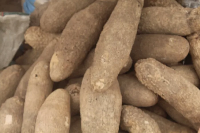 Yam