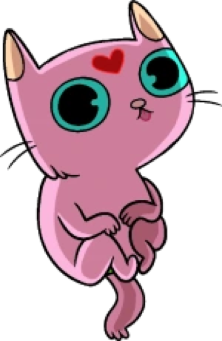 Kitten