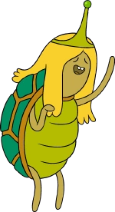 Turtle Princess