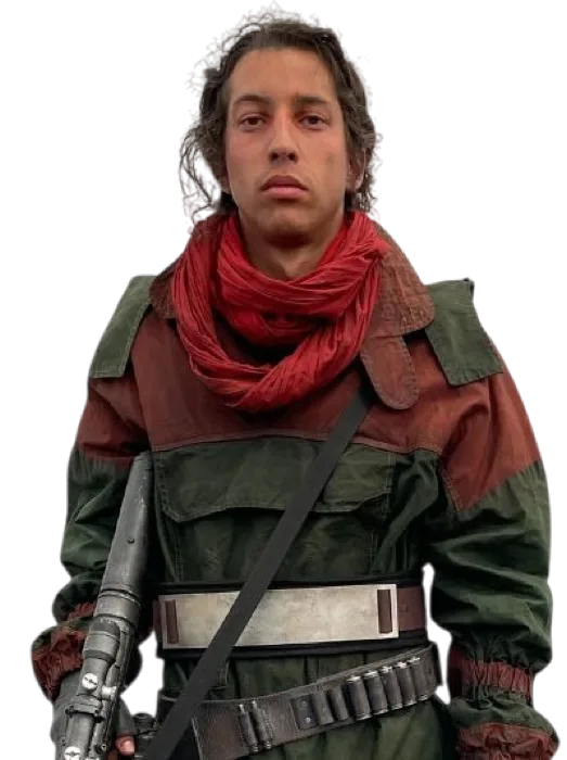 Bardi