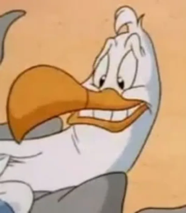 Steven Seagull