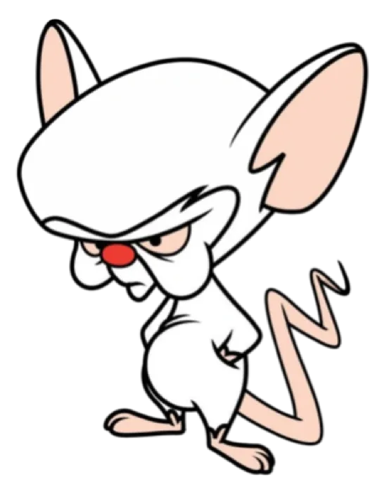 The Brain