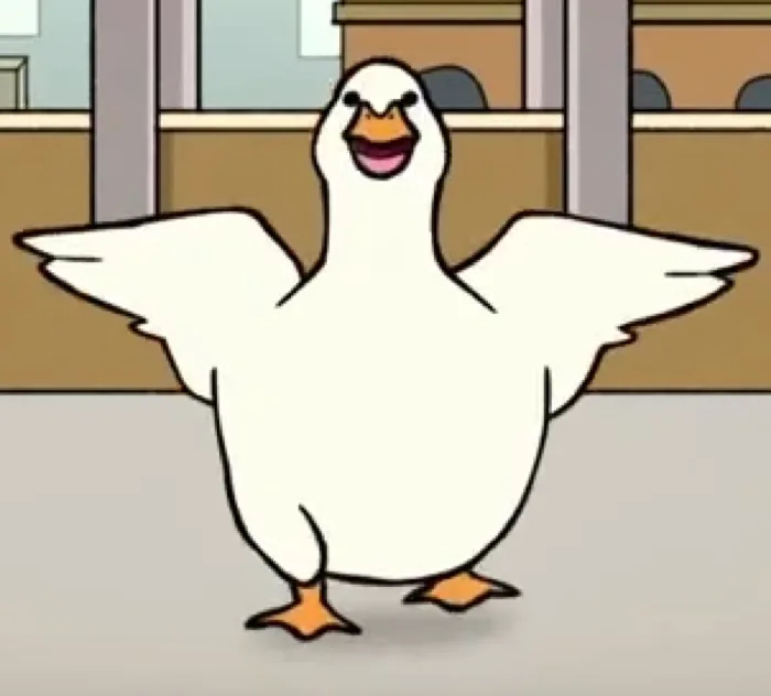 Duck