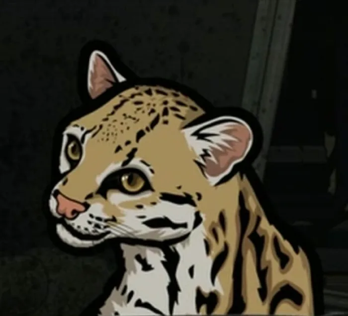 Babou