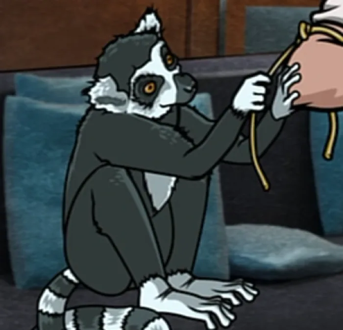 Reggie The Lemur