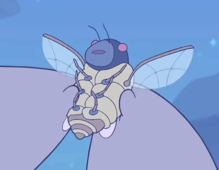 Cicada