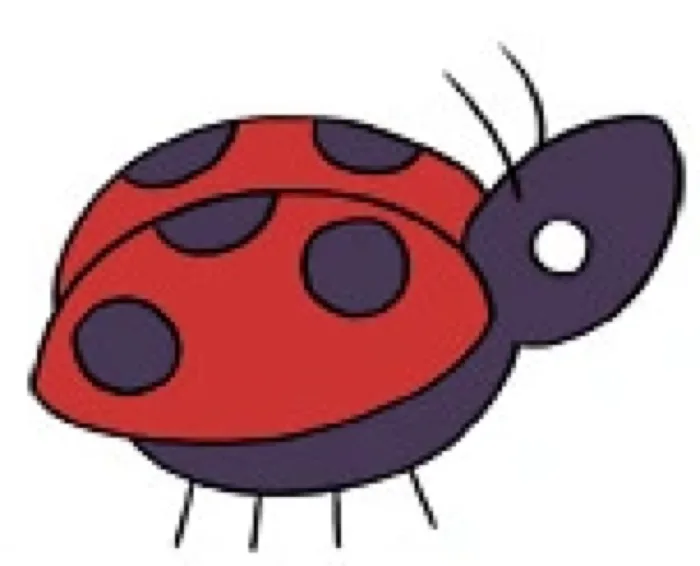 Ladybug