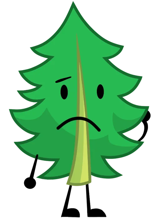 Fern